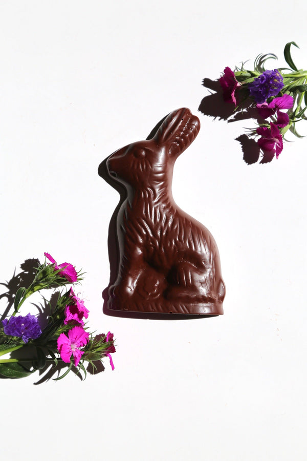 Chocolate Easter Bunny